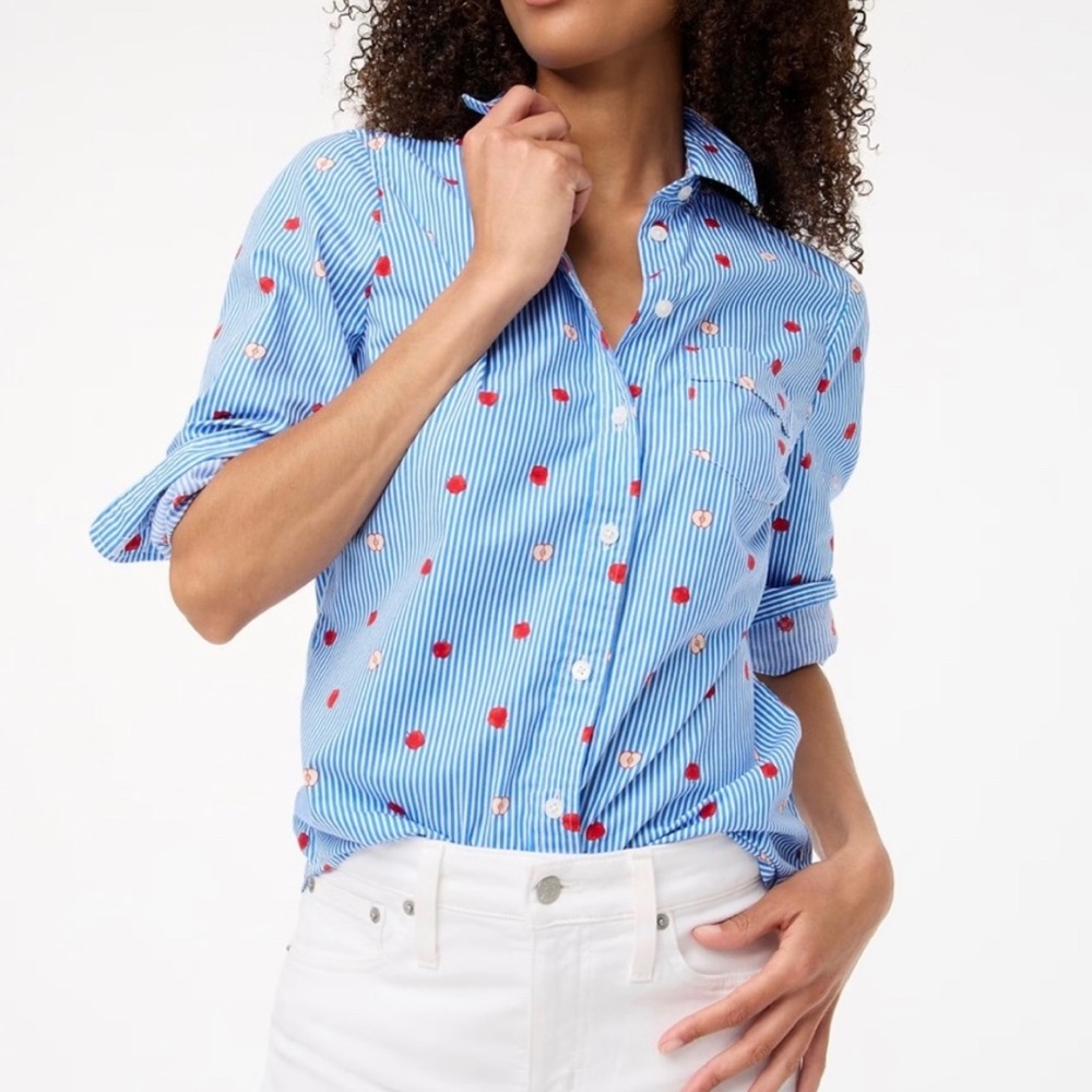 J. Crew Apple Print Button Up Shirt Long Sleeve Fall Style Striped Shirt NEW